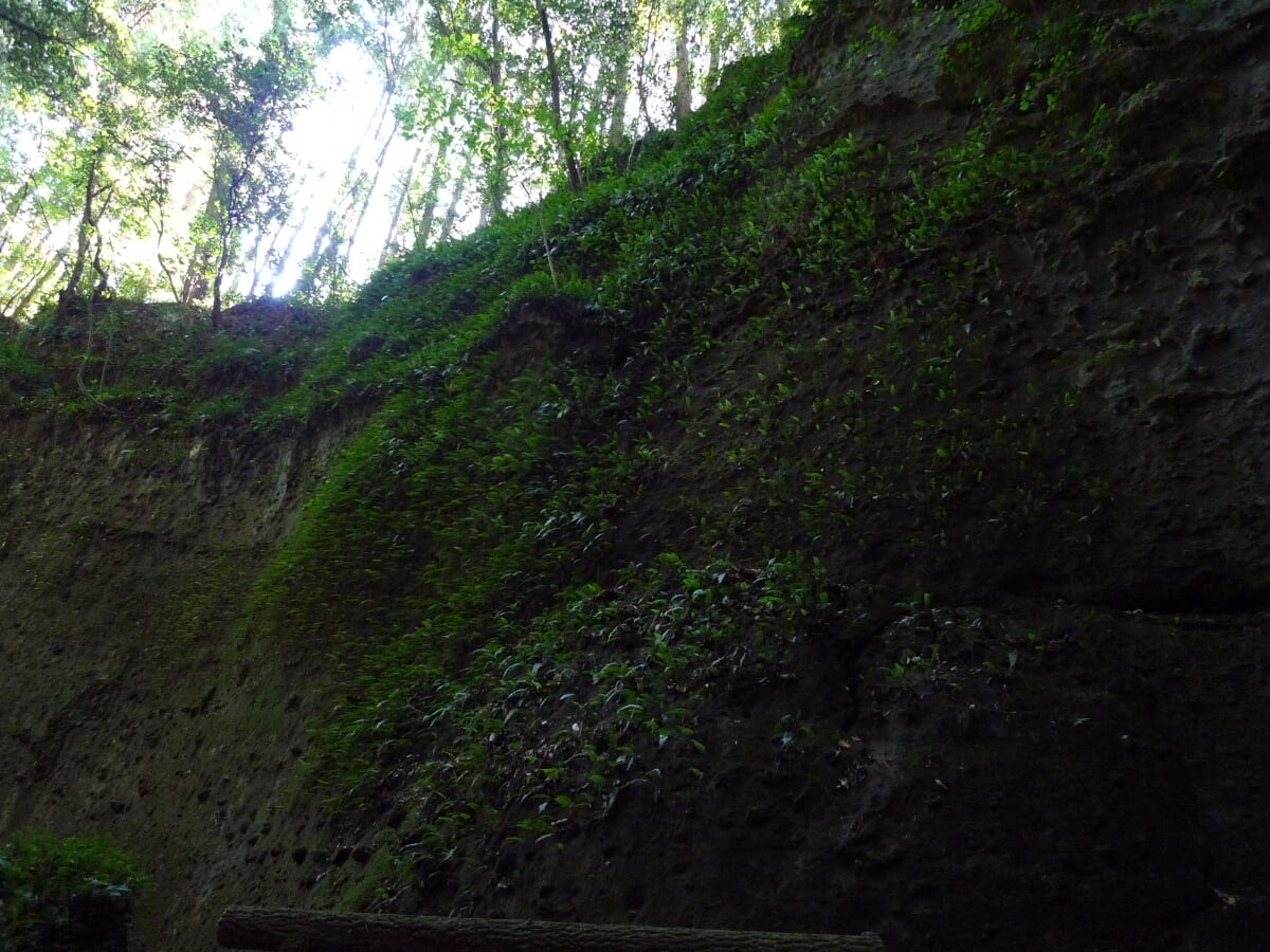 伊尾木洞の写真5