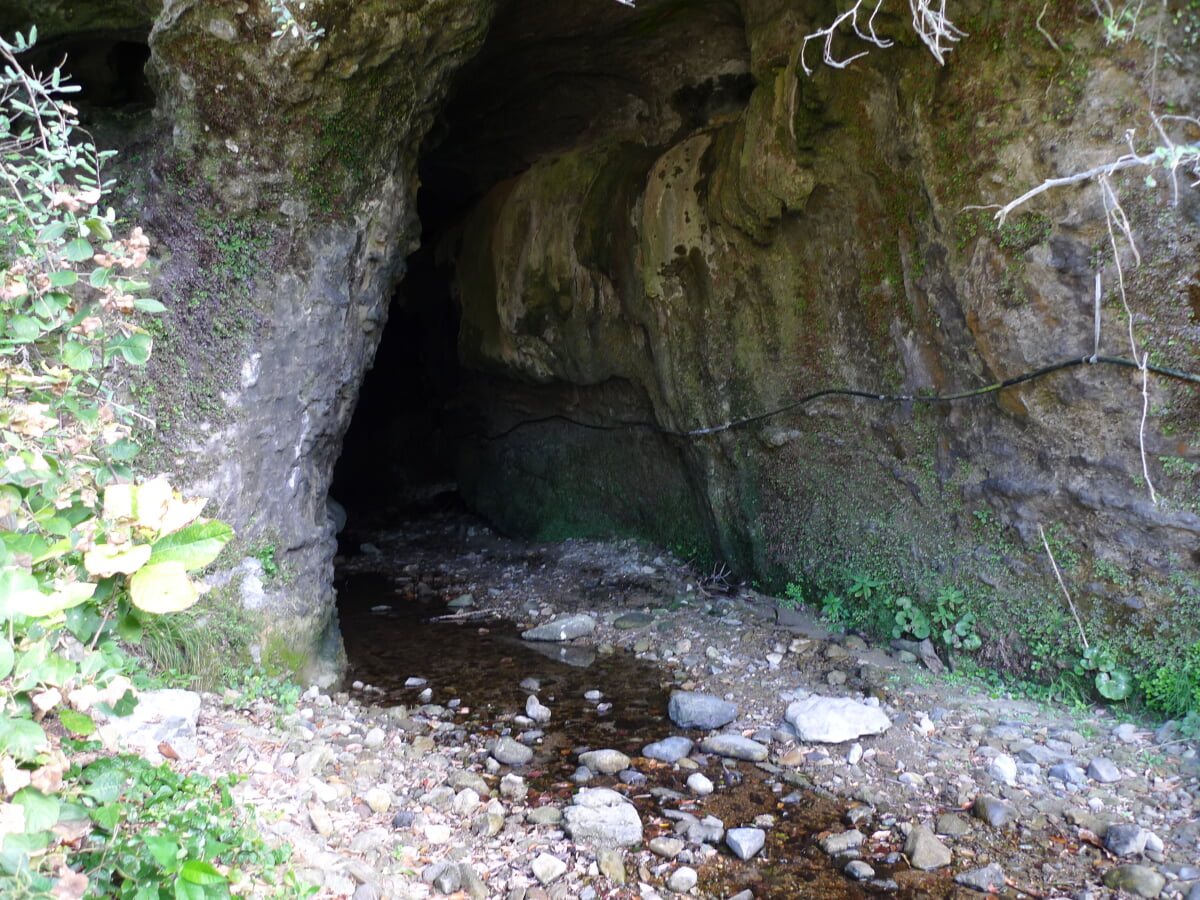 伊尾木洞の写真6