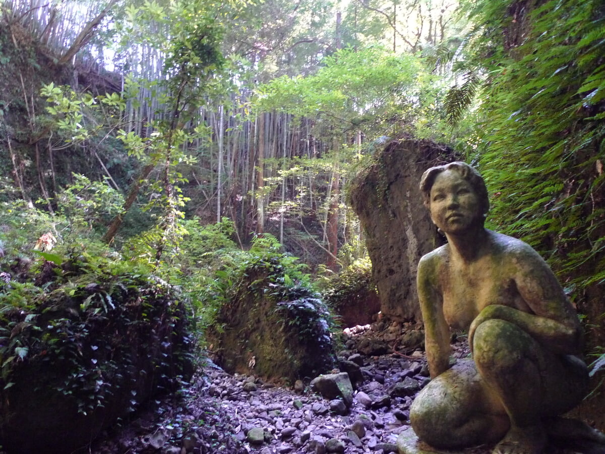 伊尾木洞の写真10