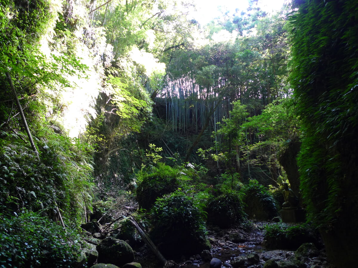 伊尾木洞の写真1