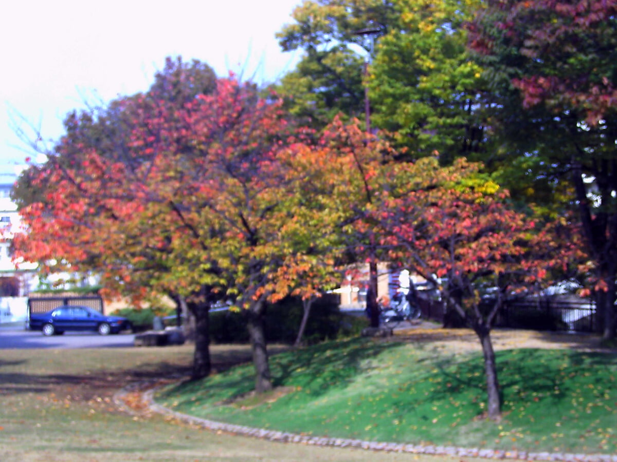 上坂部西公園の写真1