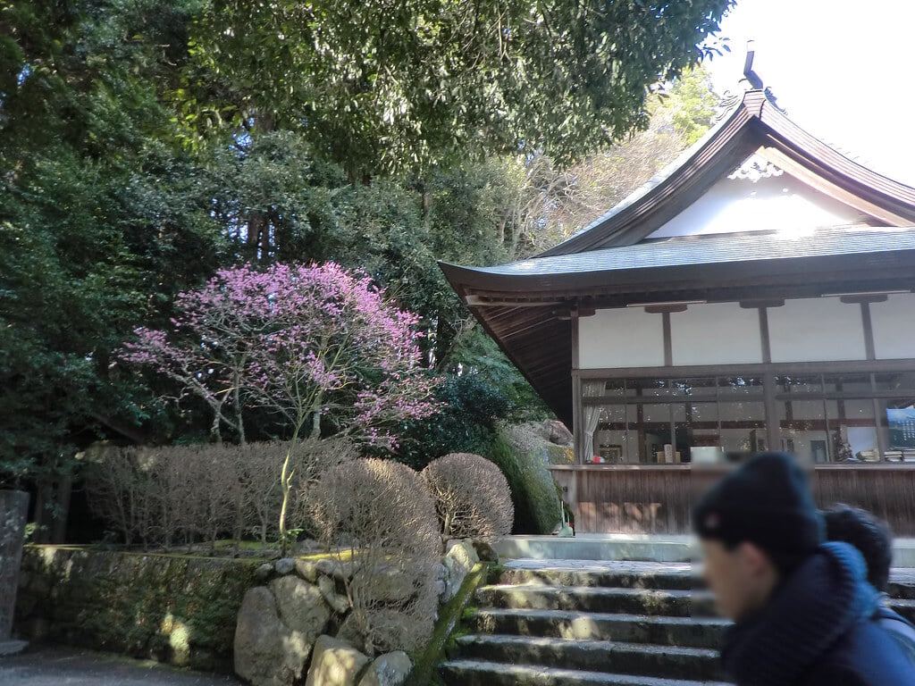 高千穂神社の写真9