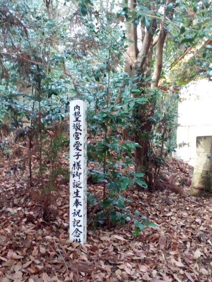 高千穂神社の写真13