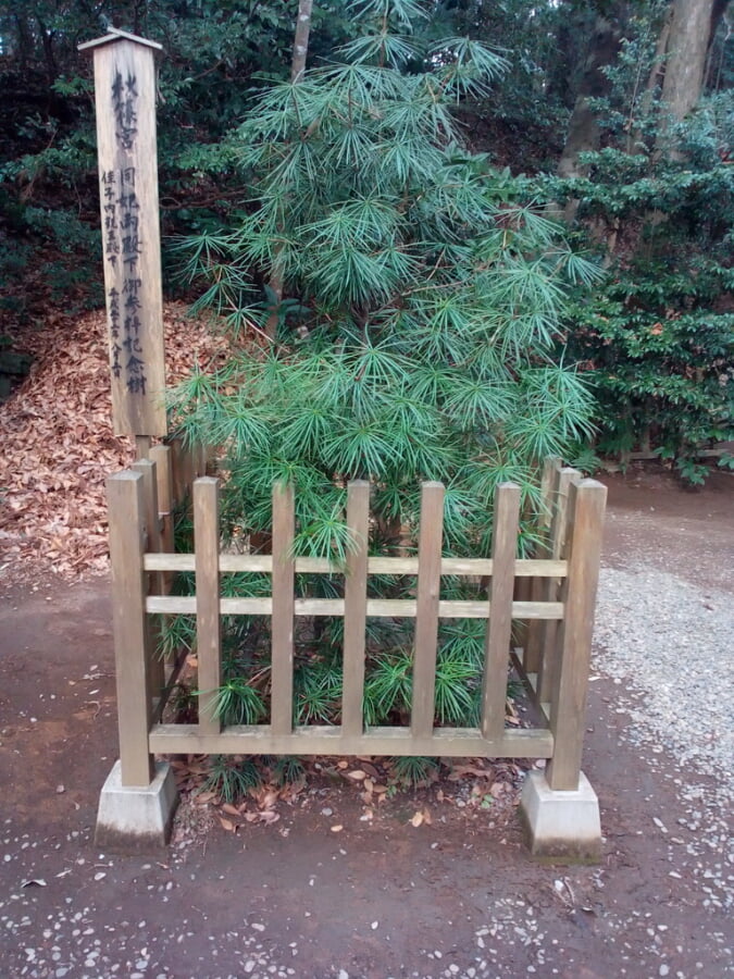 高千穂神社の写真15