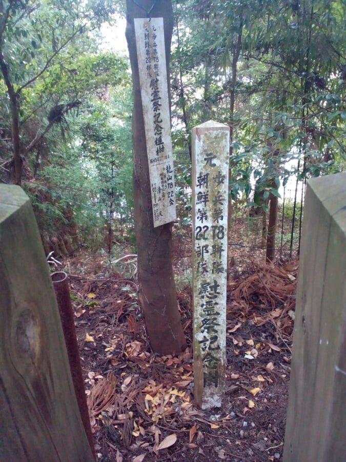 高千穂神社の写真18