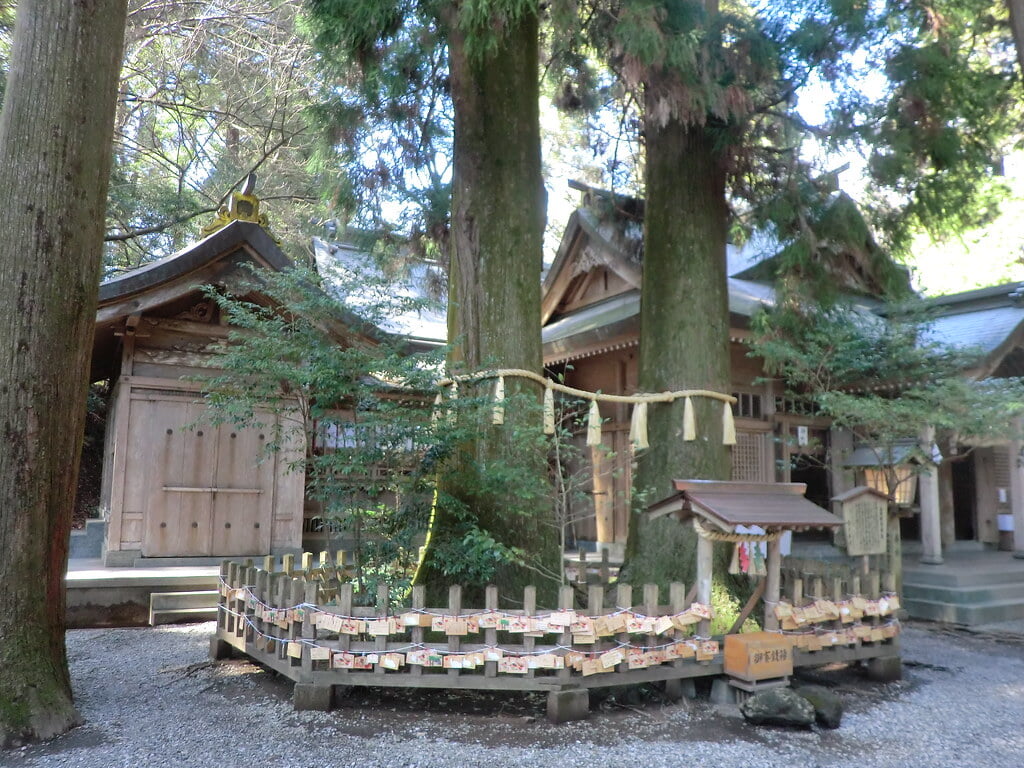 高千穂神社の写真21