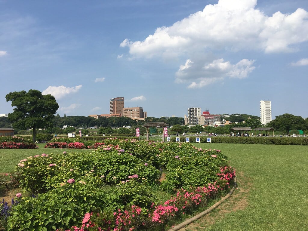 小岩菖蒲園の写真1