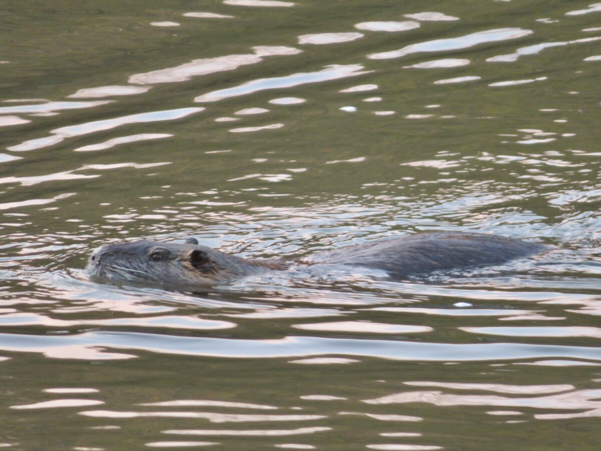 定光寺公園の写真3