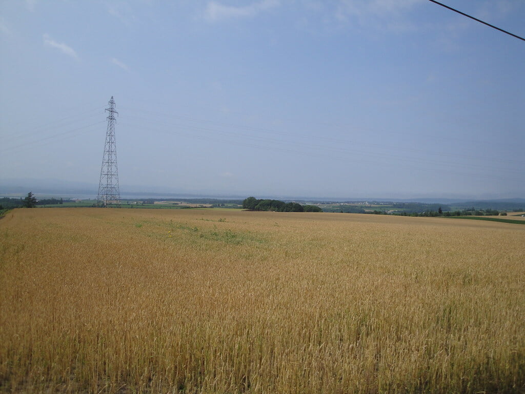 朝日ヶ丘公園の写真2