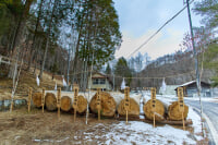 諏訪大社 下社春宮