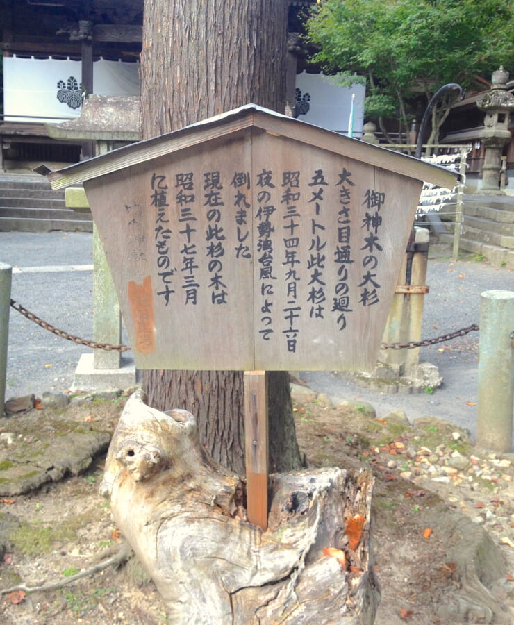 内々神社の写真6