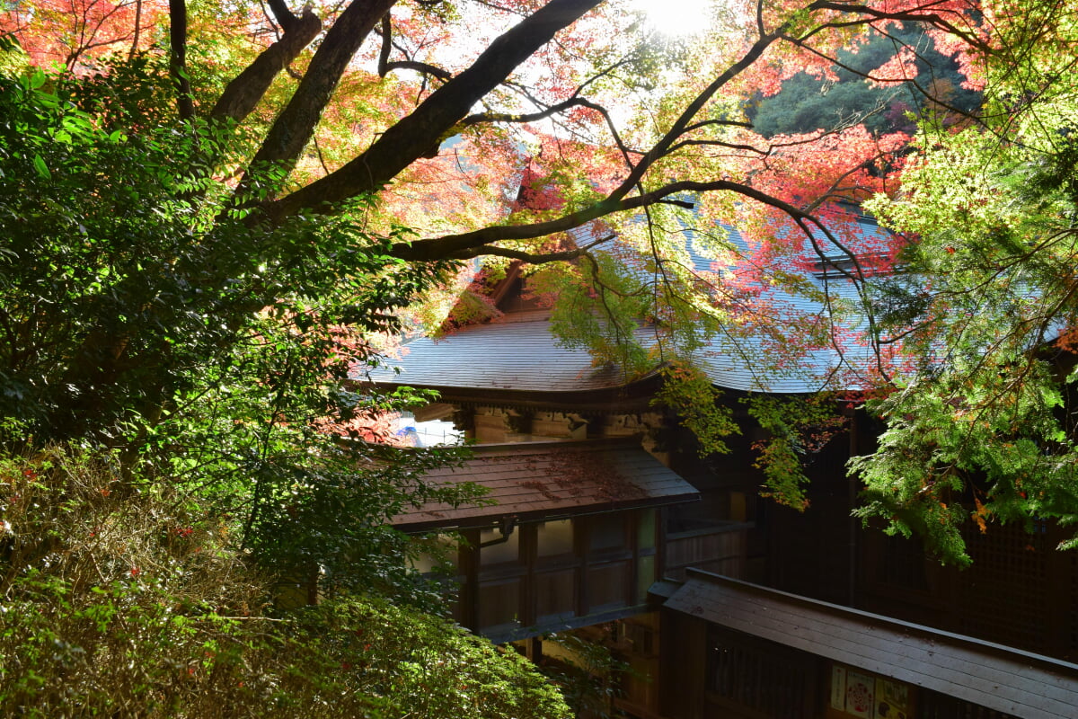 内々神社の写真1