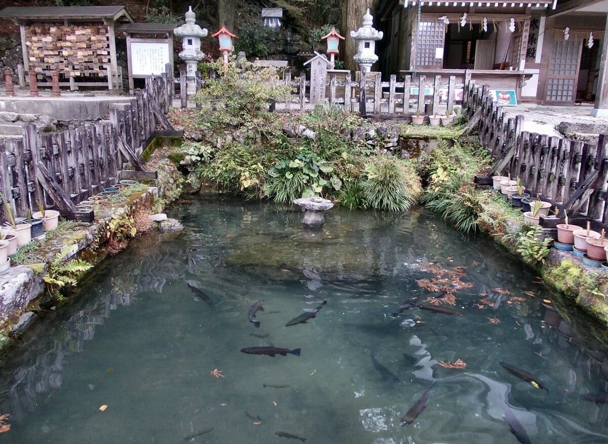 英彦山神宮の写真2