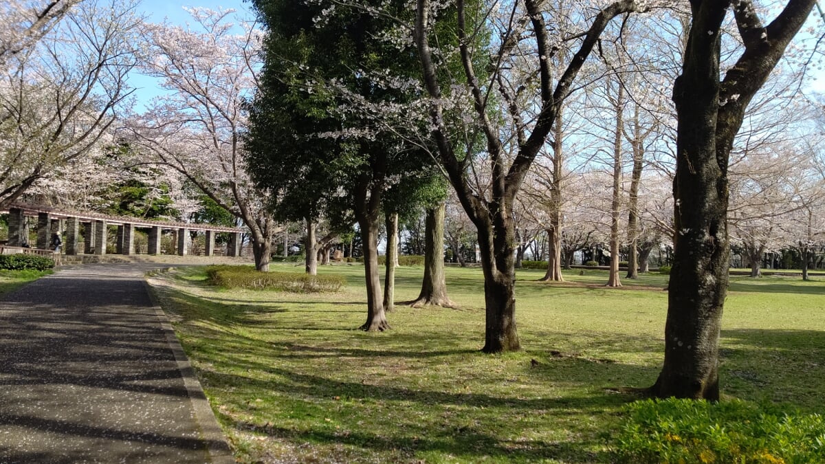 大庭城址公園の写真3
