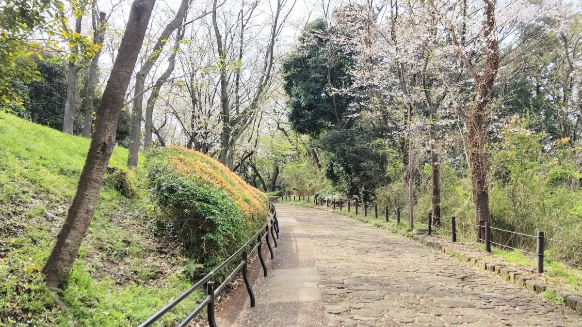 大庭城址公園の写真9