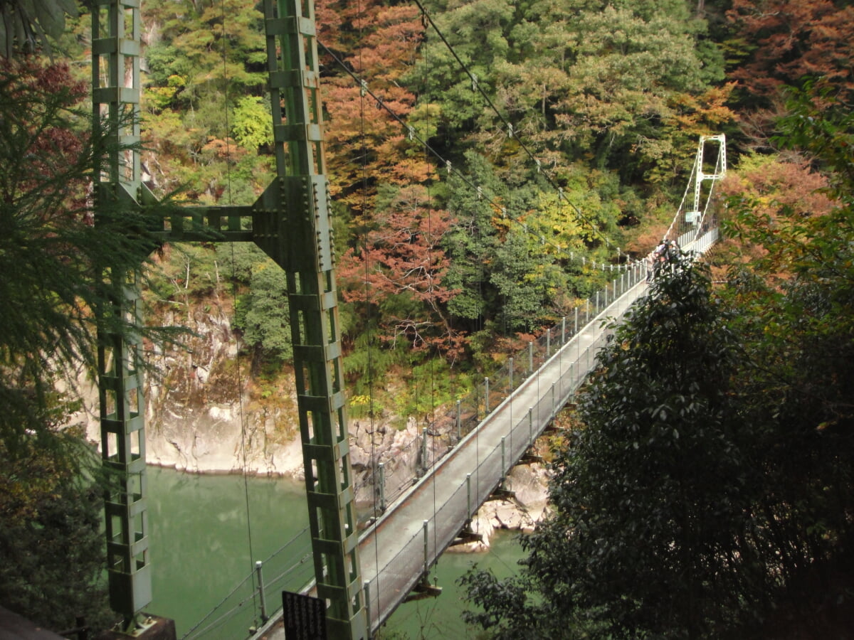 つつじ吊橋の写真2