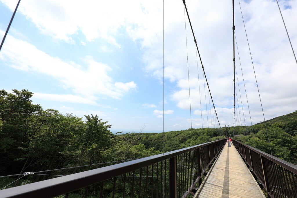 つつじ吊橋の写真1