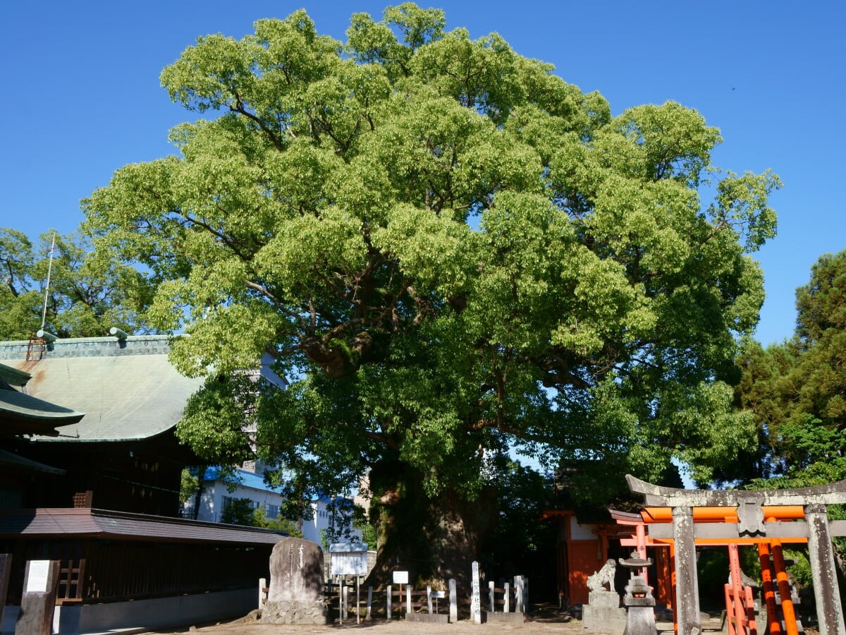 与賀神社の写真5