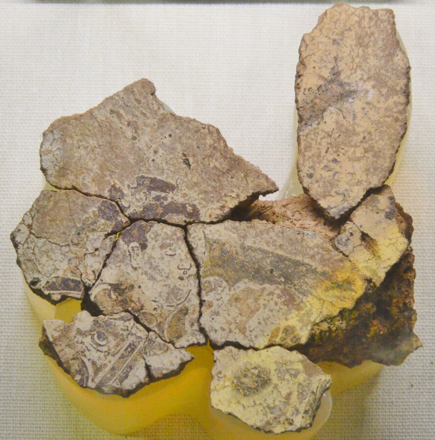 上淀白鳳の丘展示館の写真7