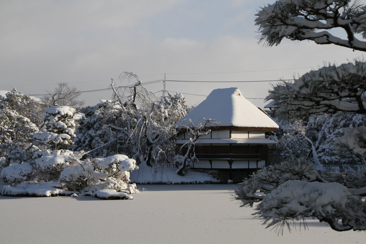 衆楽園の写真10