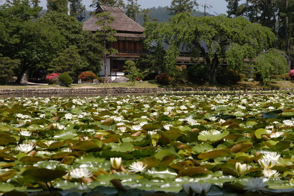 衆楽園の写真15