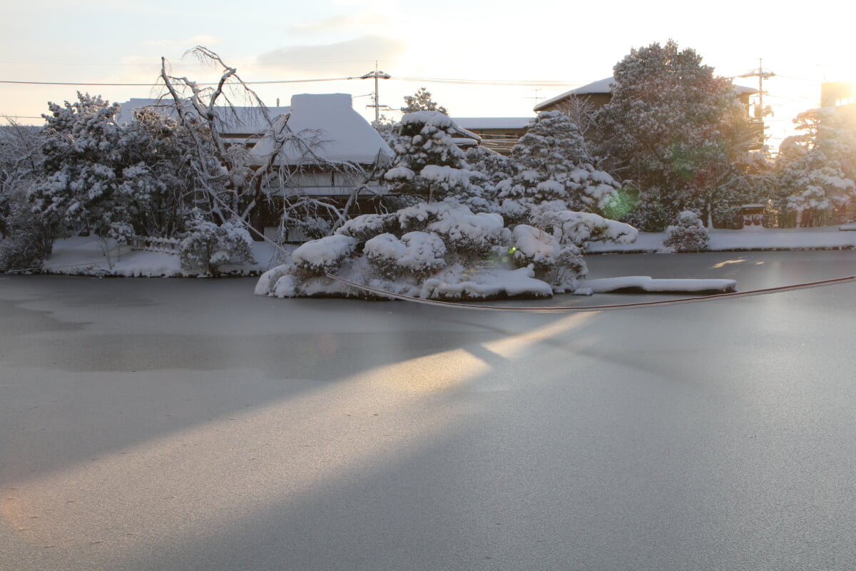 衆楽園の写真18