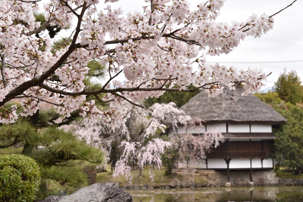 衆楽園の写真20