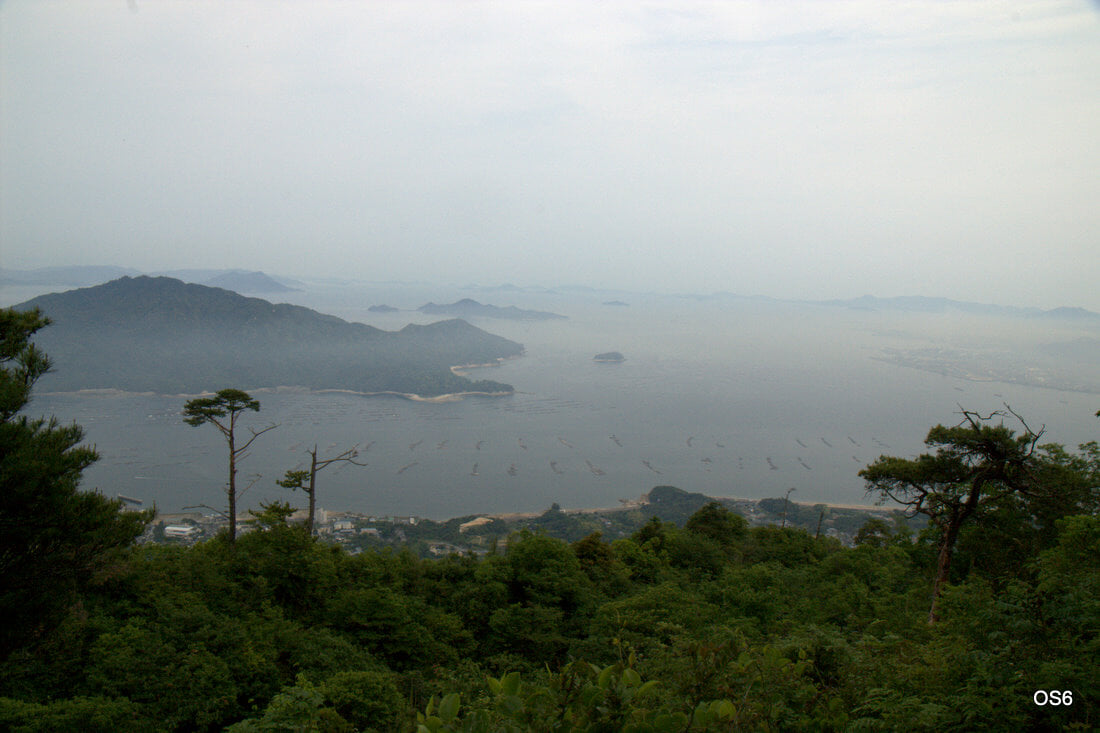 森林公園 経小屋山の写真1