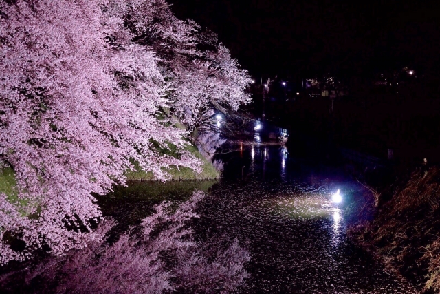 国指定史跡山形城跡 霞城公園の写真10