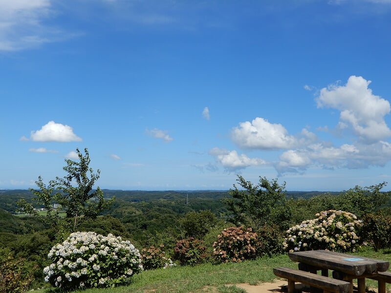 野見金公園の写真1