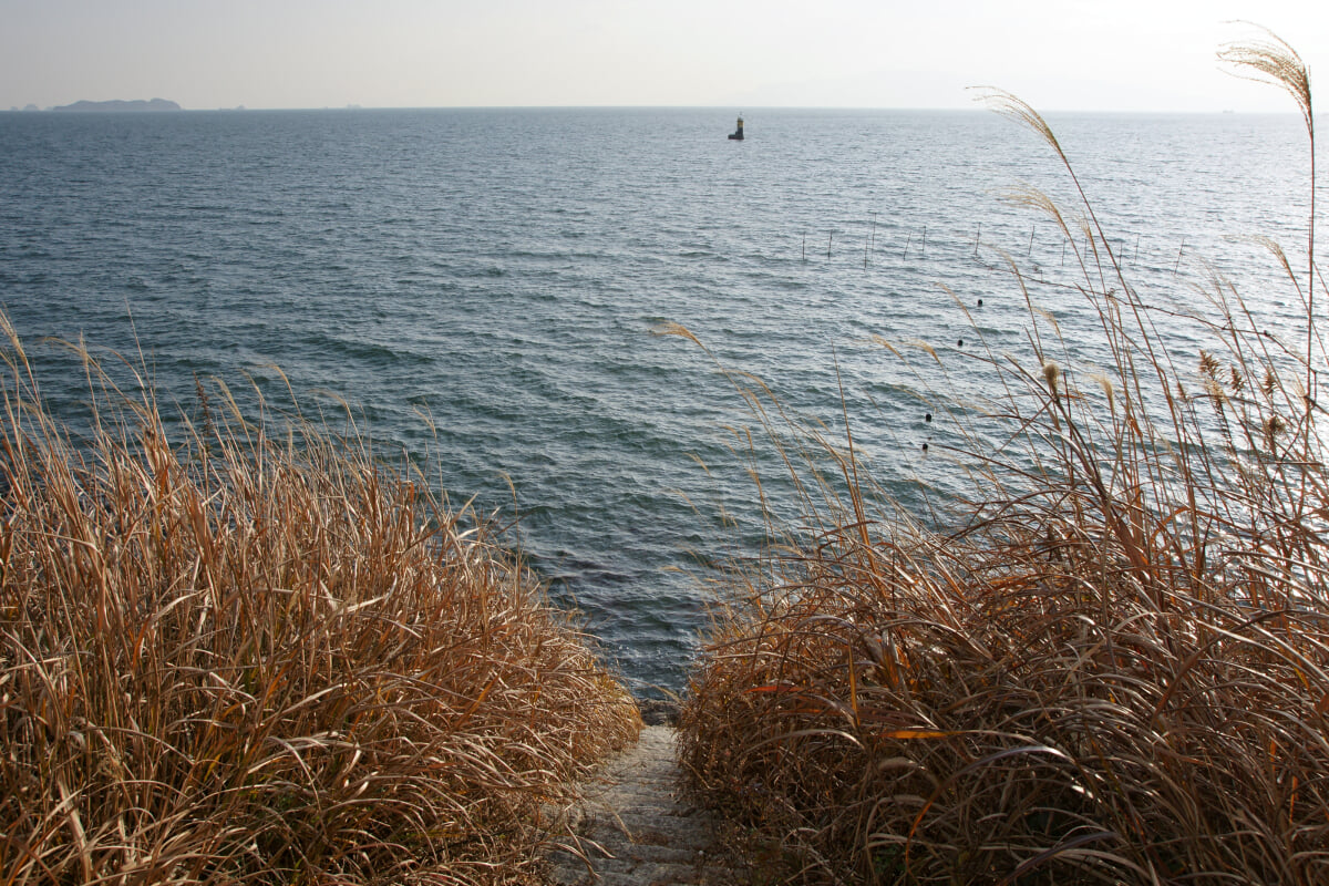 伊和都比売神社の写真2