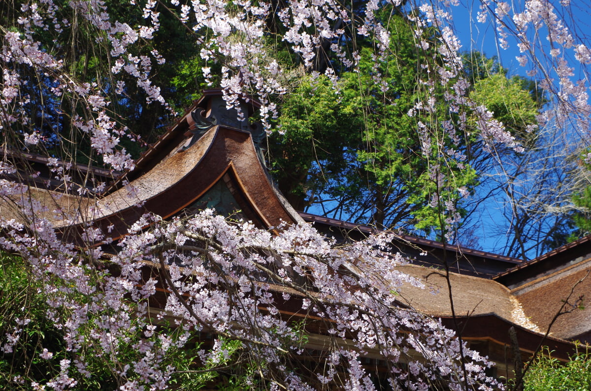 吉野水分神社の写真2