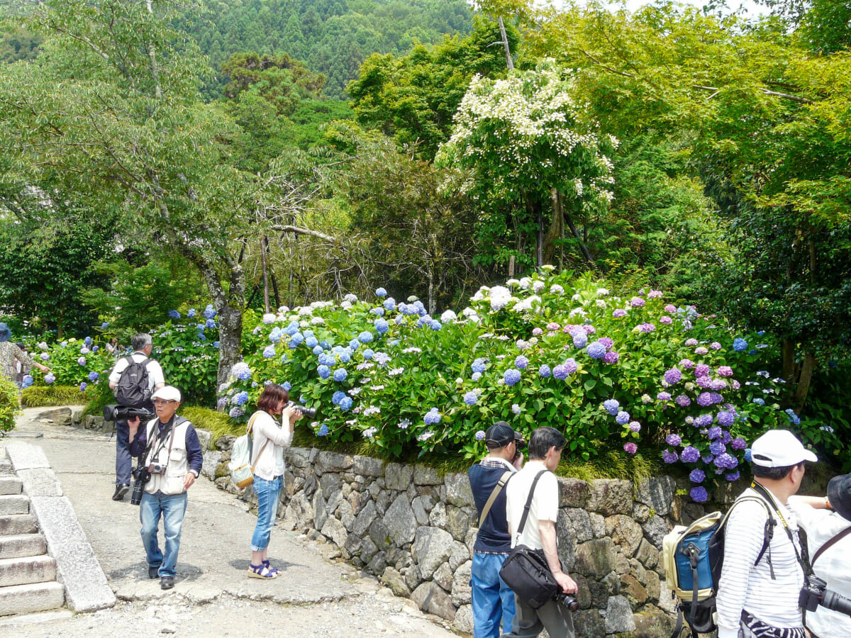 矢田寺の写真11