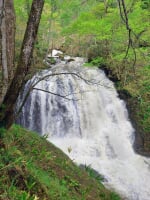 魚留の滝