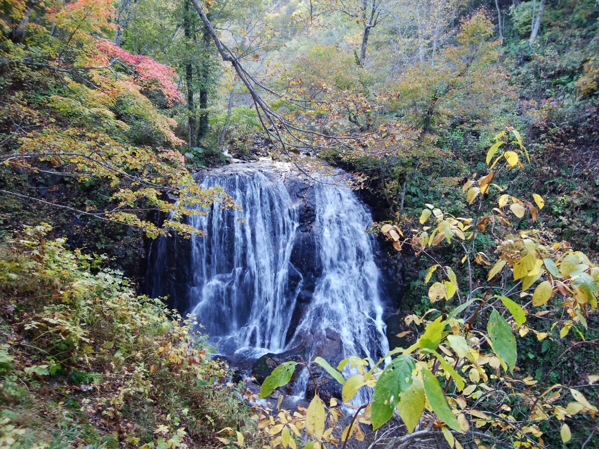 魚留の滝の写真2