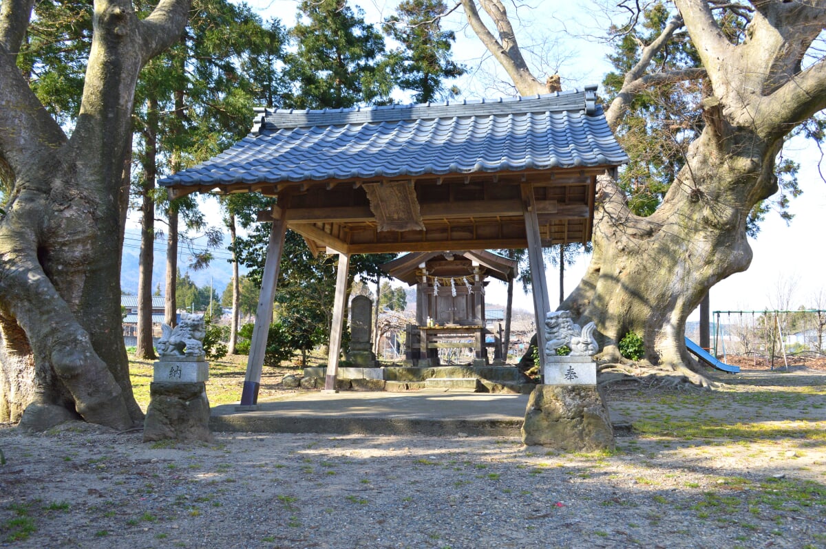 桜井神社の写真1