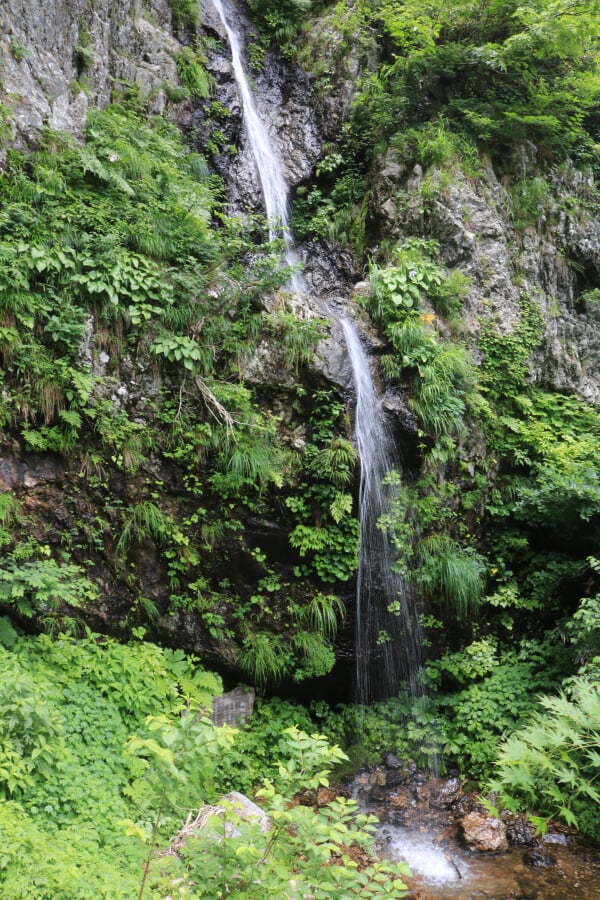 幽幻の滝の写真2