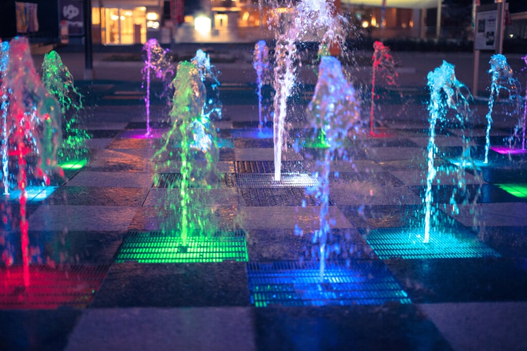 岩が池公園の写真5