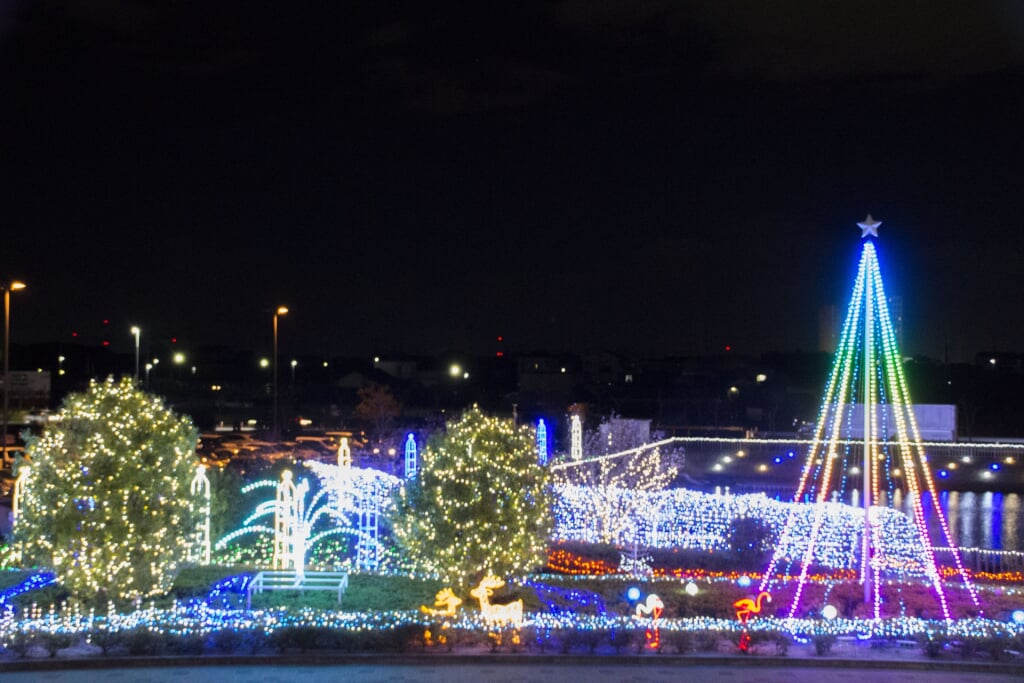岩が池公園の写真10