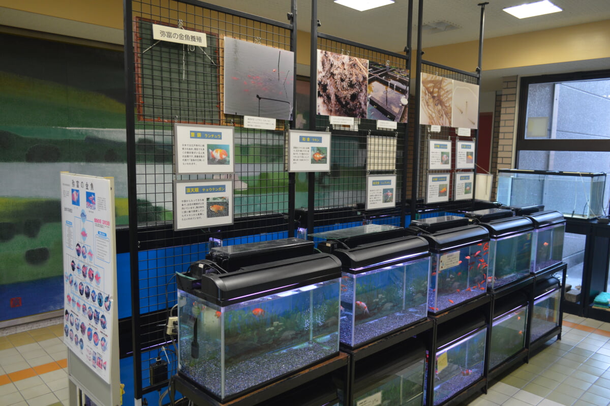 弥富市歴史民俗資料館の写真3