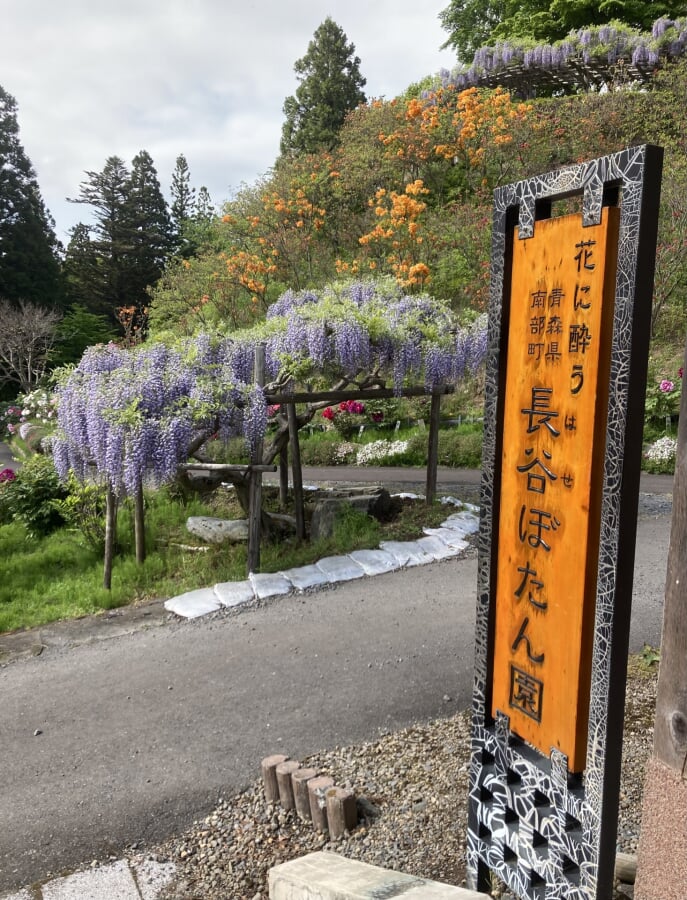 長谷ぼたん園の写真1