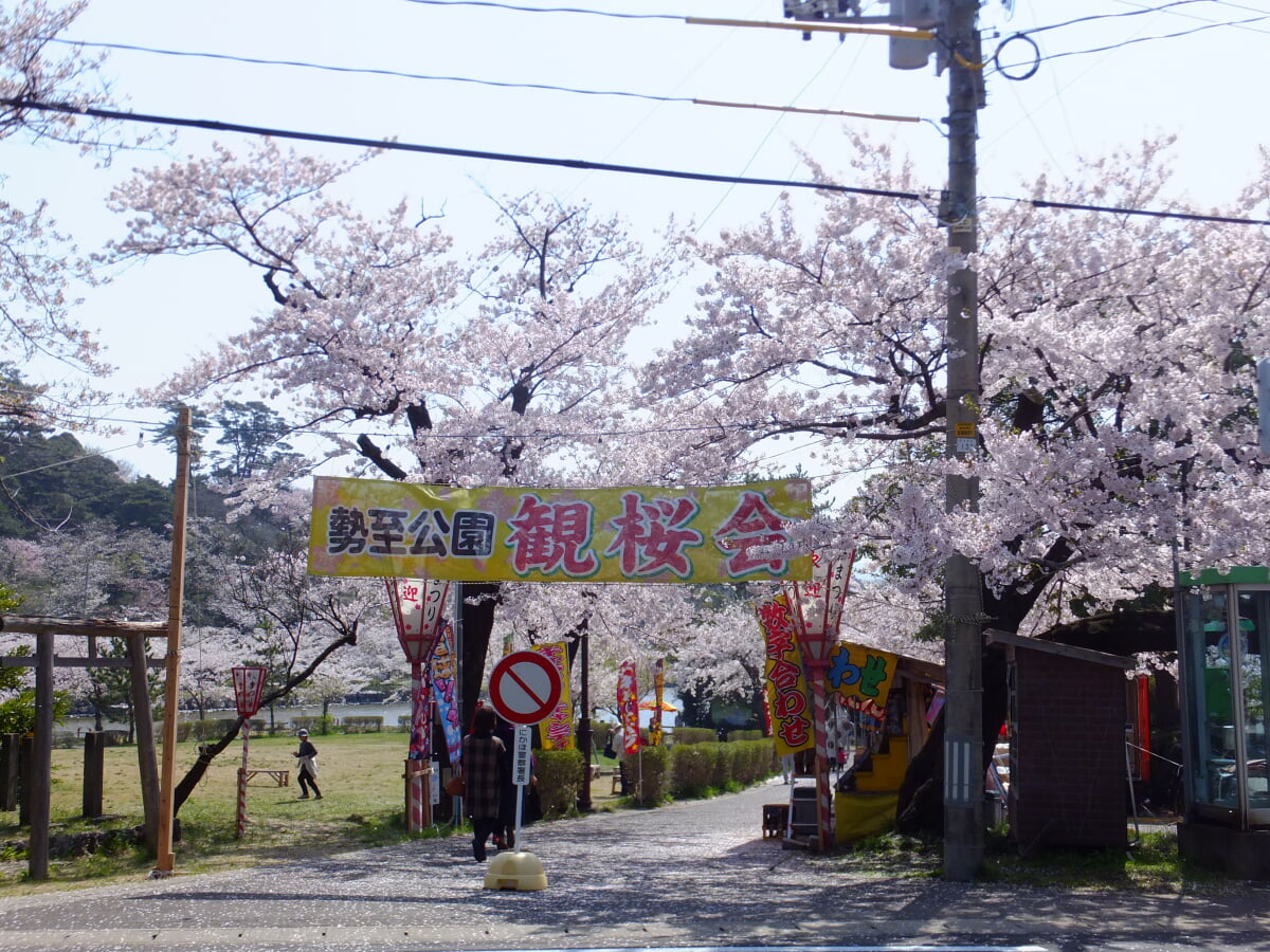 勢至公園の写真1