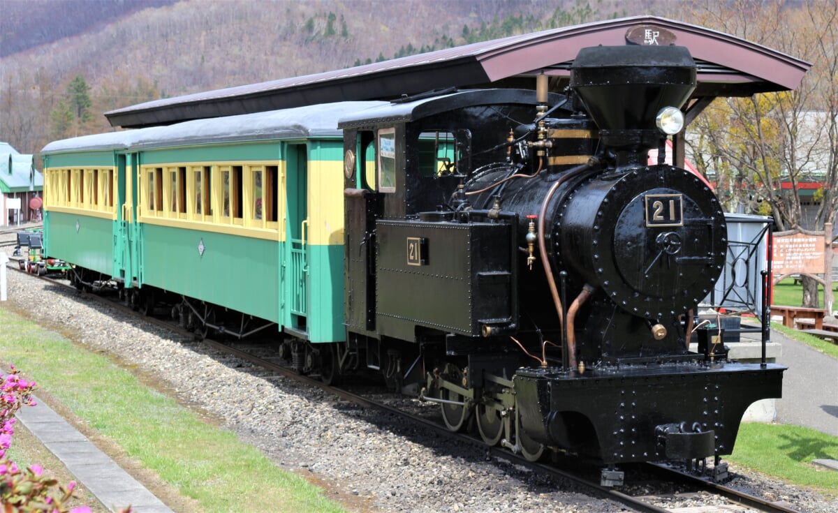 森林鉄道蒸気機関車 雨宮21号の写真1