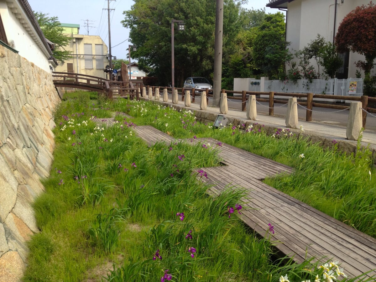 小口城址公園の写真1