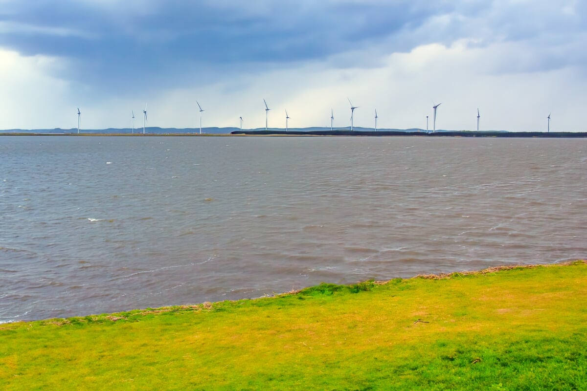 十三湖岸公園の写真1