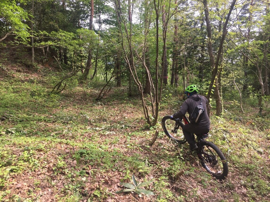 ボウケンノモリ ひるぜんの写真2