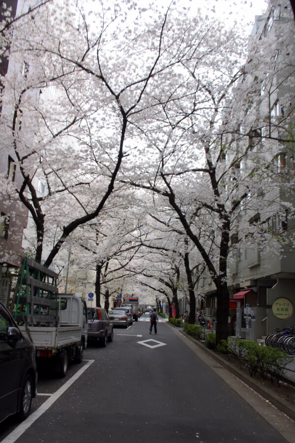 かむろ坂の写真5