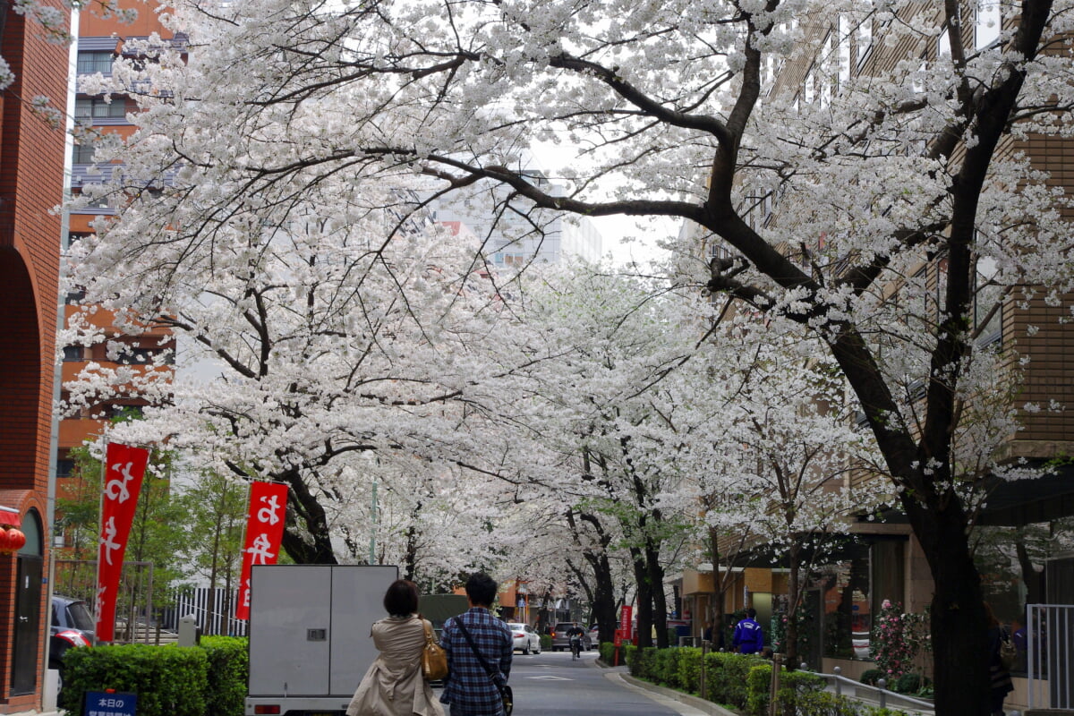 かむろ坂の写真6