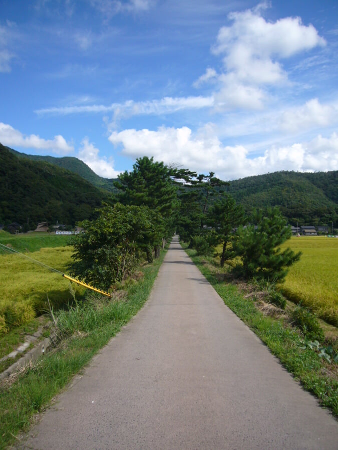 竹野神社の写真5