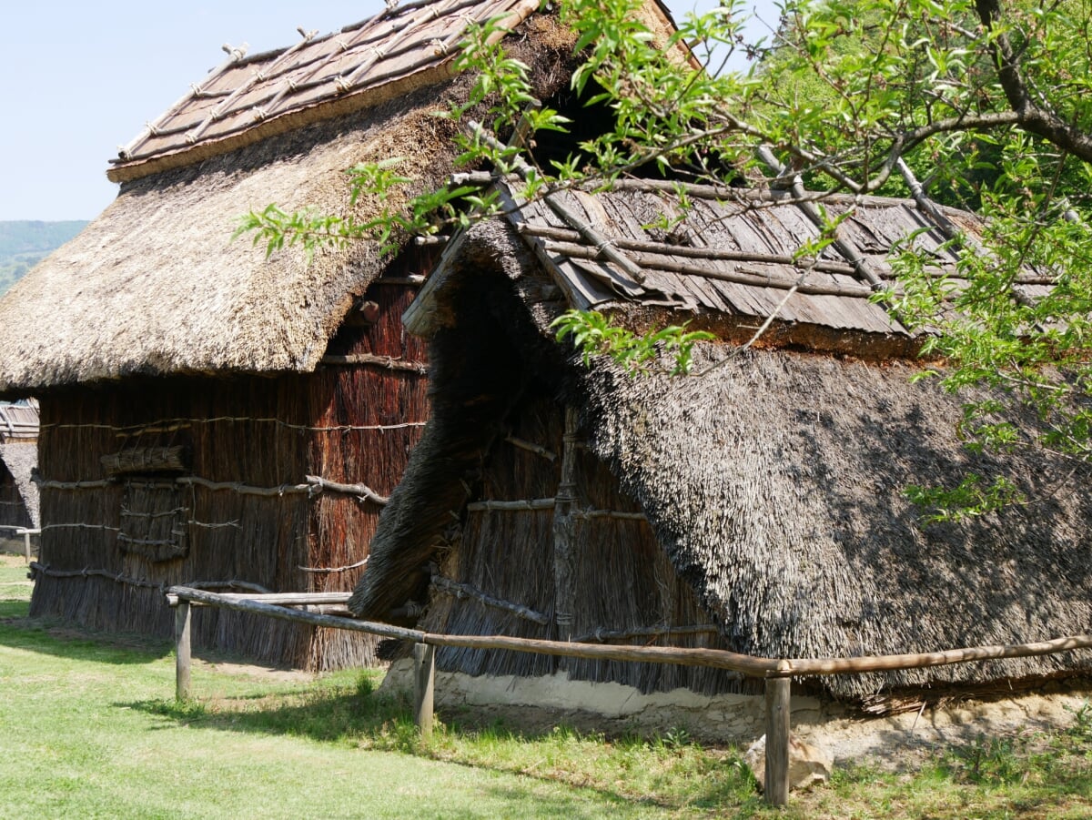 科野の里歴史公園の写真4